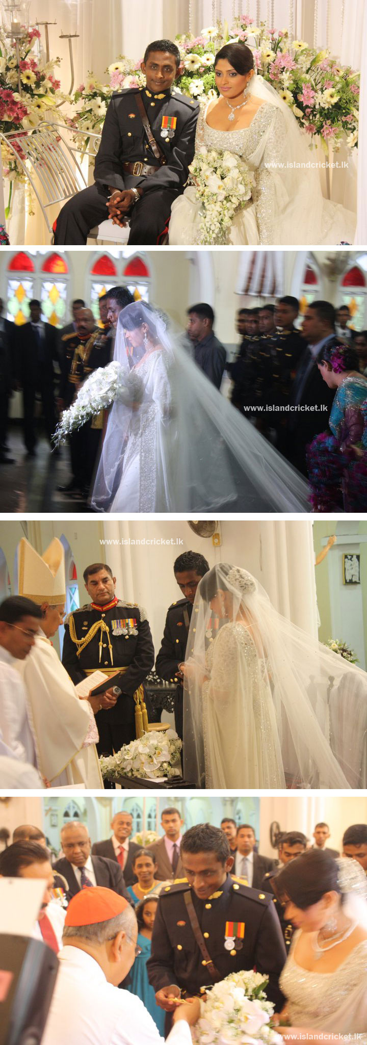 AMWED1