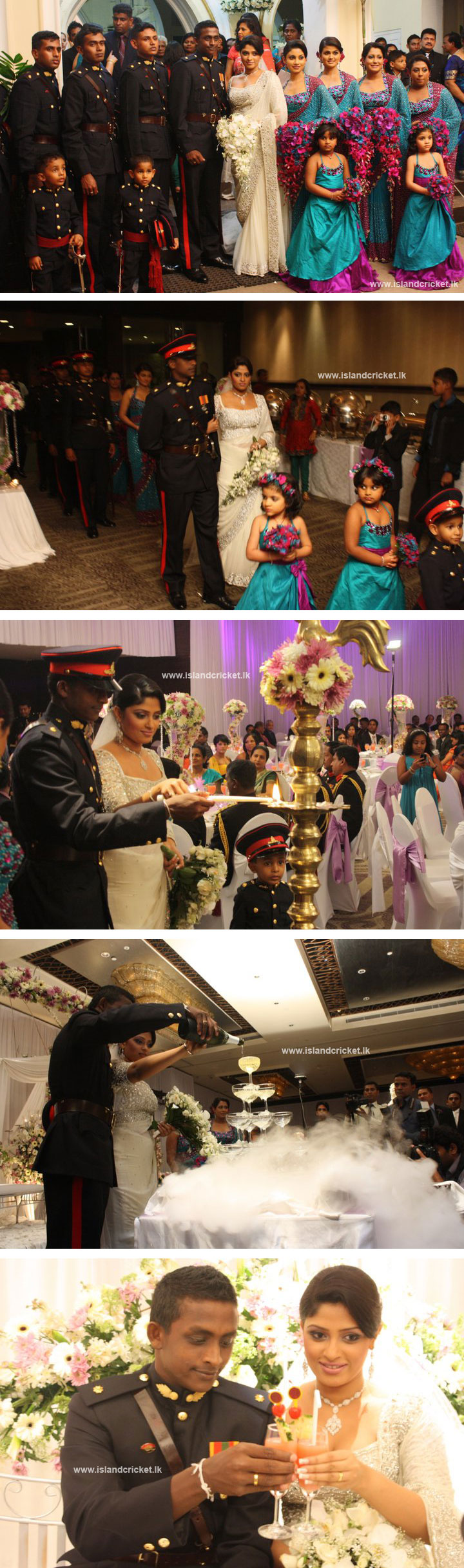 AMWED3