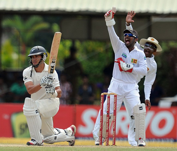 590_Del6172655.jpg The two Jayawardenes appeal for Taylor's wicket