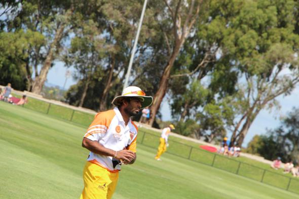 5152101_590x394.jpg Lasith Malinga