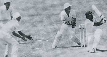 guy.jpg Sri Lanka Cricket News