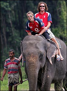 _44267066_swannysidey.jpg Photo