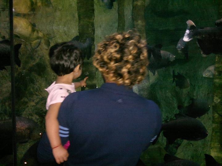 003.jpg Photo