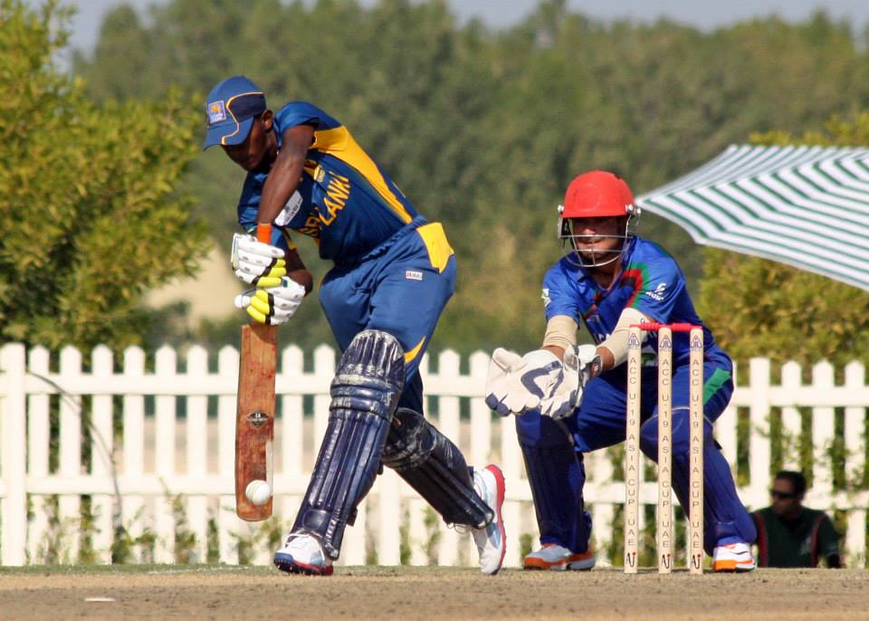 acc4.jpg Photo