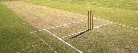 turf-wicket1.jpg Sri Lanka Cricket News