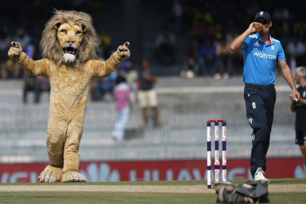 lion.jpg Sri Lanka Cricket News