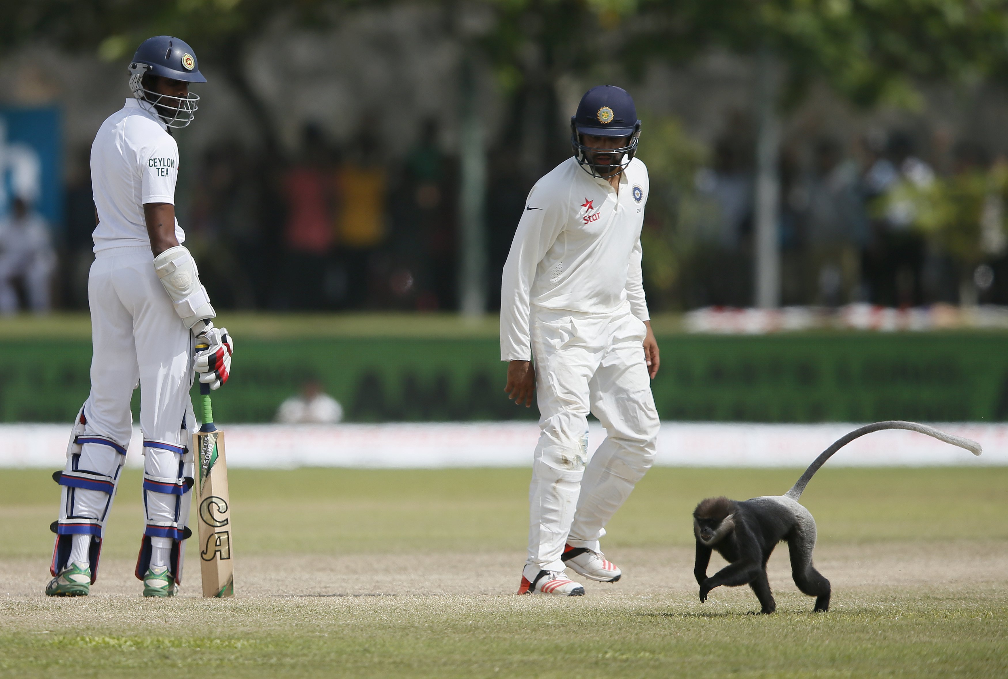 2015-08-14t095305z_499930241_gf10000173595_rtrmadp_3_cricket-lanka.jpg ehan Mubarak and Rohit Sharma