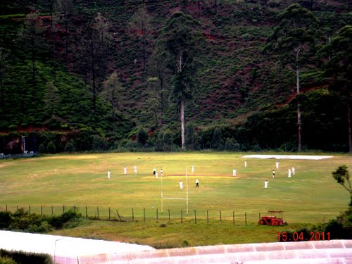 radella2.jpg Photo