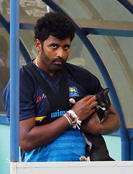 1894189294thisara1.jpg Sri Lanka Cricket News